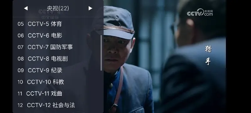 WebView电视