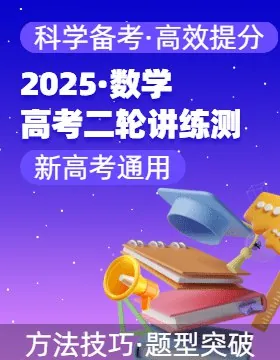 2025高考数学大题突破+限时集训