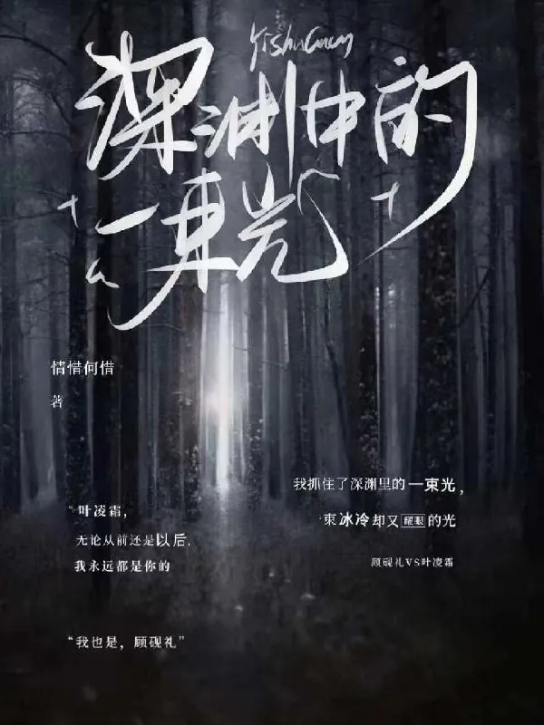 在深渊里抓住光