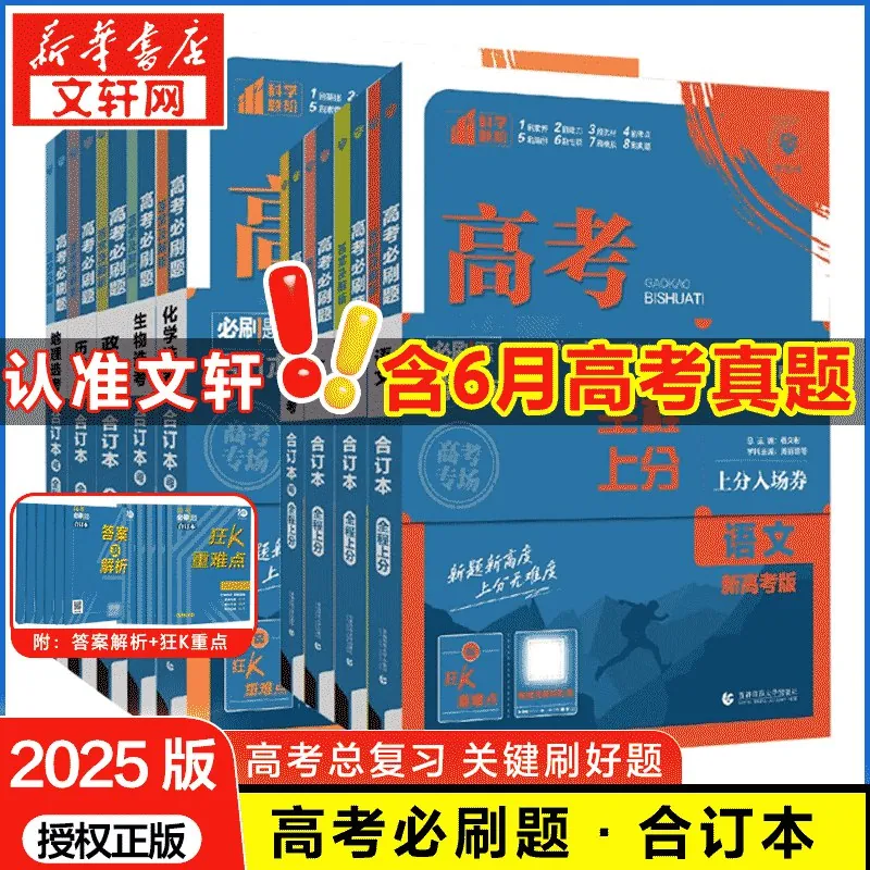2025年高考物理大题突破+限时集训