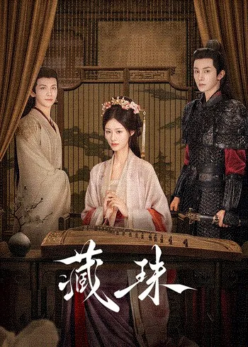 藏珠爱情