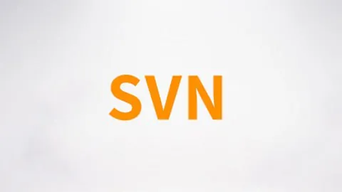 尚硅谷SVN视频
